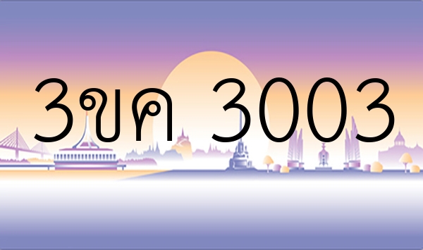 3ขค 3003